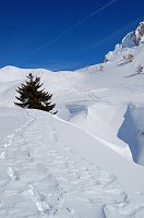 24 Gironzolando in abbondante neve